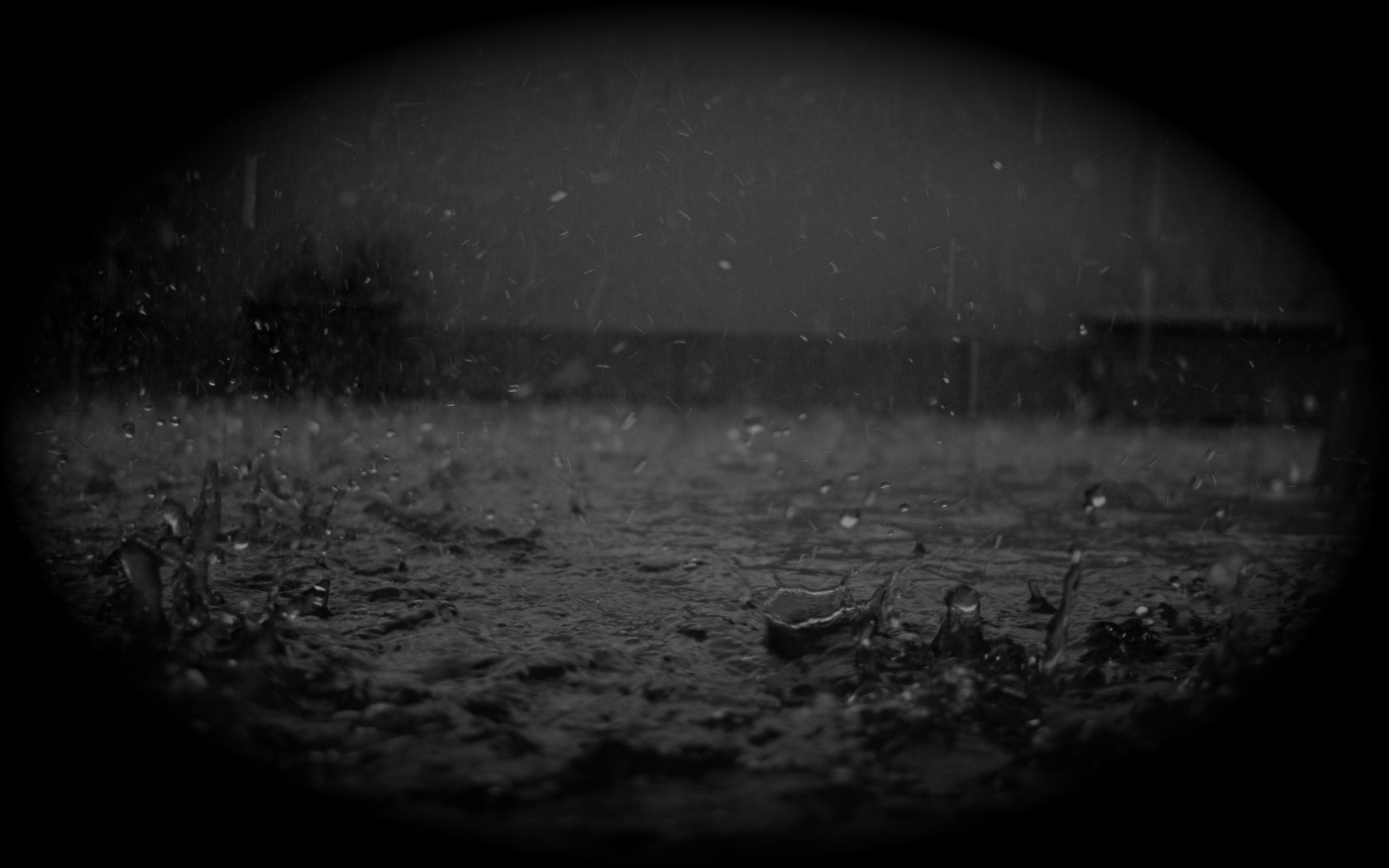 Rainy Image.Really Darkened.P3.jpg